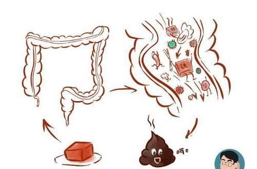 吃猪血后排出黑色大便,是体内毒素被排出来了?答案你可能想不到