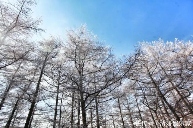 太美了！山东这个5A级景区，一到冬天色彩曼妙！快上车……