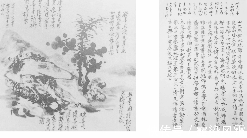 林散之&林散之书法超黄宾虹?以儒家为核心,哲学为体用,佛家信仰为归依