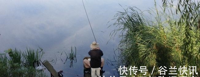 夏季三伏天钓鱼怎么钓钓鱼高手给你支个招,提高中鱼率!