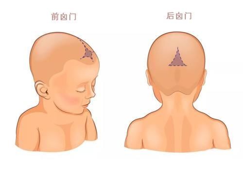 前囟门|囟门被称为宝宝的“命门”，若出现这几种形态，别耽搁赶紧去医院