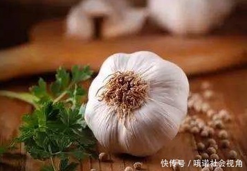 身体健康|提高免疫力的四种食物,每天吃一点,身体健康强一点