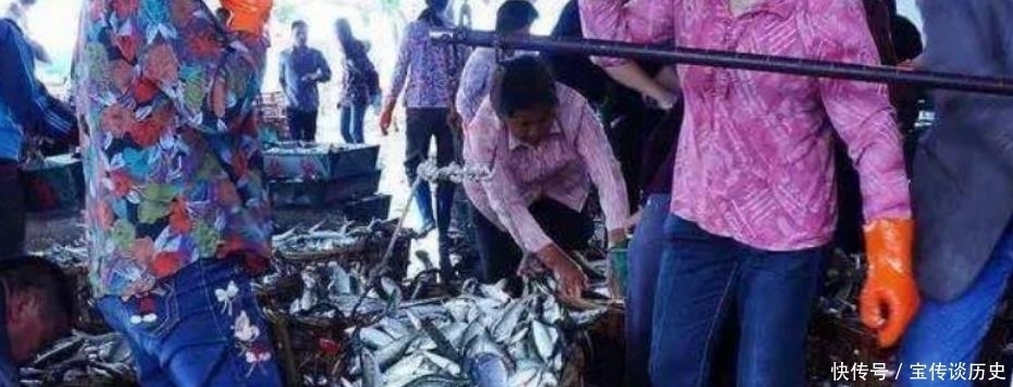 食用巴浪鱼|一次能捞几千斤,一年四季抓不完,儿时当下饭菜,4元一斤很便宜