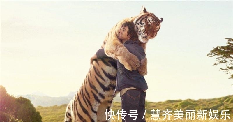 亚洲金猫|古代猛兽“彪”到底是何物?2005年后我国仅拍到3次,可杀死老虎