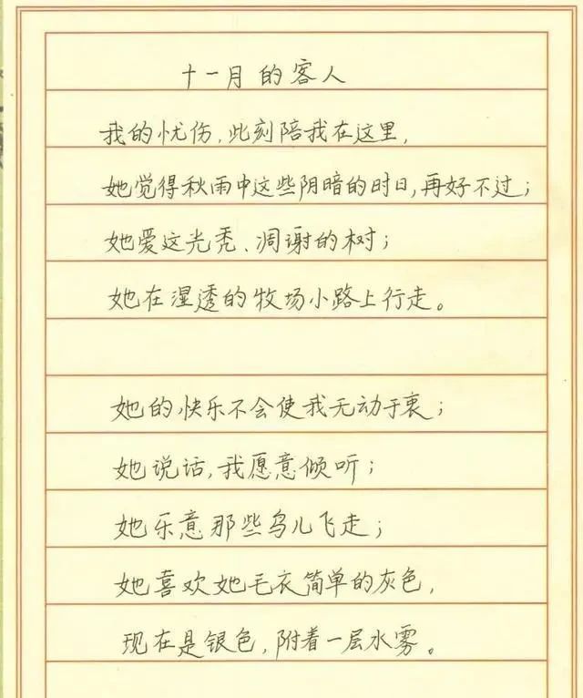 书法家!小学老师的钢笔书法作品曝光,水平堪比书法家,成家长传阅的焦点