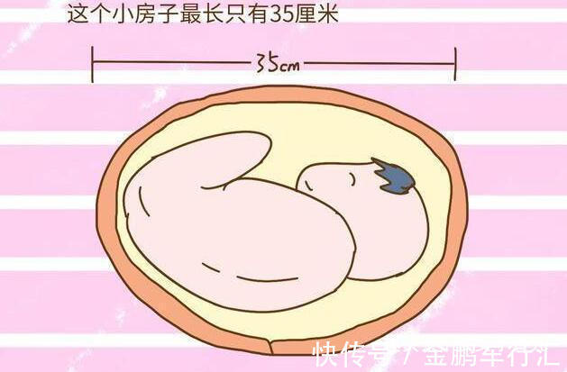 新生儿|新生儿宝宝出生,身高测量都是50厘米?这是医生太不负责了么