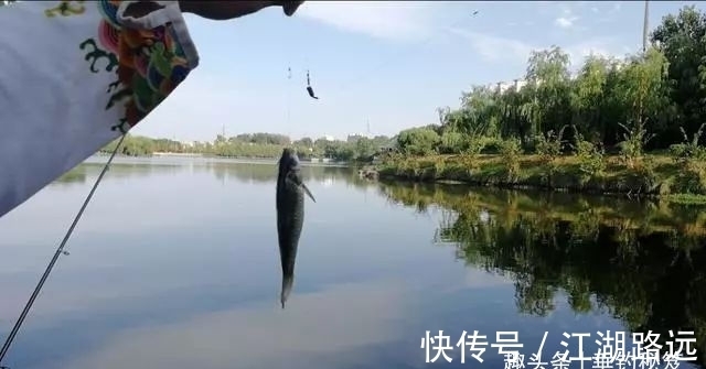 浮漂上有信号,就是提不上鱼,多数是这五个原因导致!