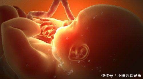 女人|女人这辈子最多可以生几个孩子？网友：答案让你意想不到！