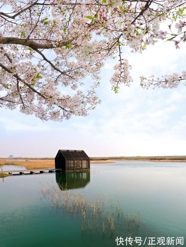 新昌大佛龙井|寻梦浙江