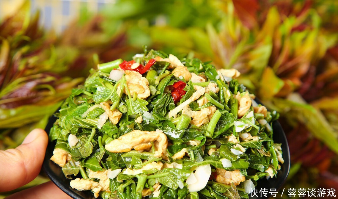 香椿到底要不要焯水教你正確做法,香椿鮮香無異味,吃著更放心
