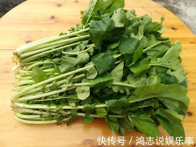 炖肉|这菜不花钱，营养极高，很多人当垃圾扔，晒干了炖肉特香，别浪费