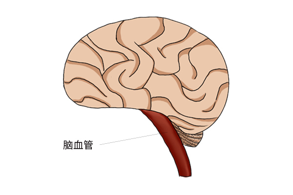 女性|50岁后,是女性养生的“黄金期”,做好4件事,身体会往好处发展