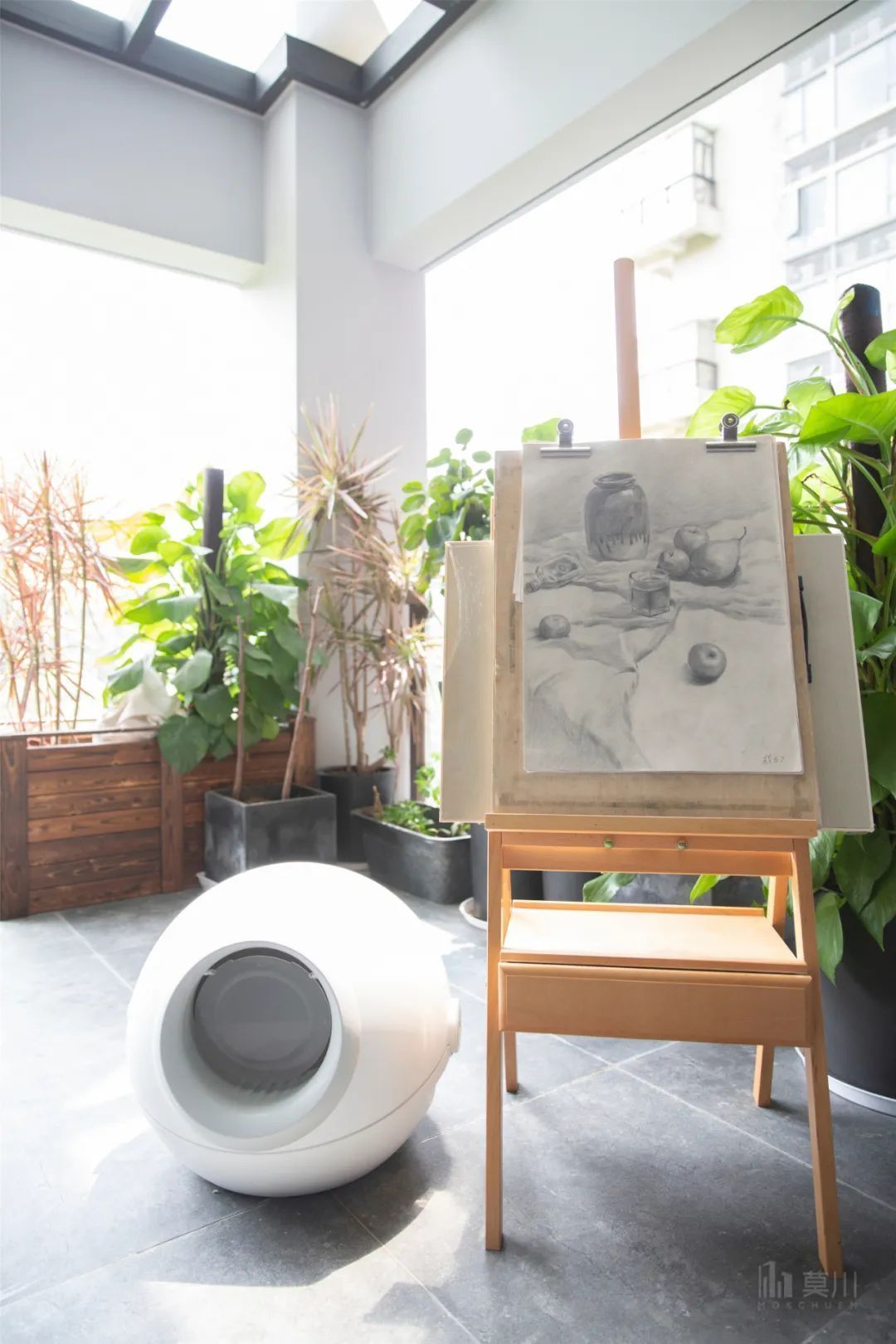 绿植|99㎡现代工业风,85后女神的家,满屋高级灰,绿植清新点缀