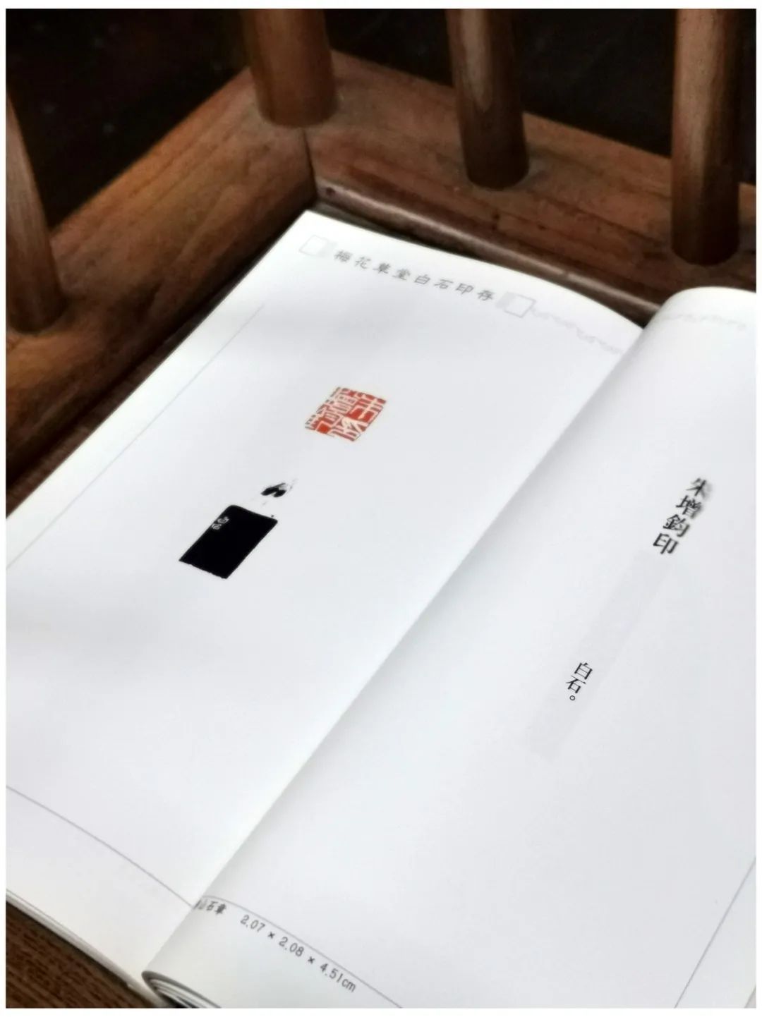 印章#齐白石传人、齐白石书画院院长-汤发周分享:见证齐白石与朱屺瞻友谊的一本书是什么?