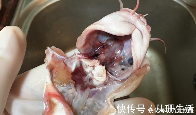 海鱼的100种吃法之一,炖鱼不放姜,无腥味,家人说锅太小不够吃!