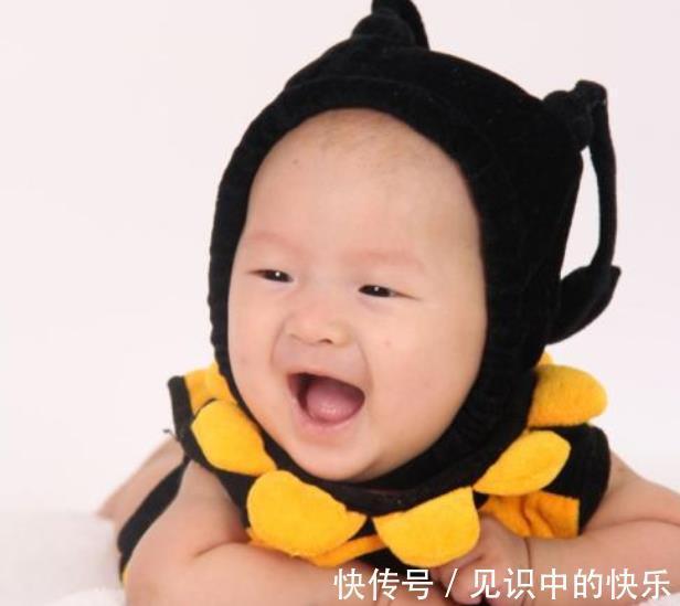 宝宝|萌娃电梯遇到女孩牵着狗,“礼貌性”的问答引热评