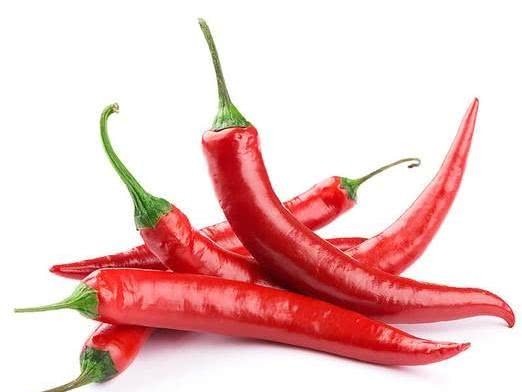 中华|中华厨祖,用做饭理论治国,获得高官厚禄。辅助商汤打败夏桀