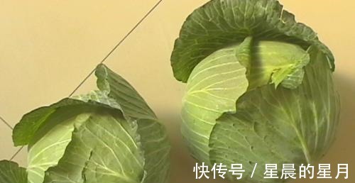 强身健体|卷心菜怎么做都不好吃加上它，想不好吃都难！
