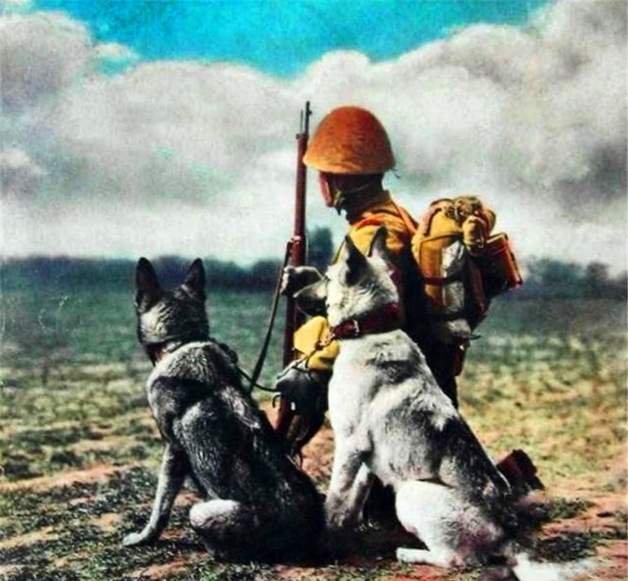 镜头|镜头下真实的日本鬼子,图3砍下抗日英雄头颅,图5给日军喂马的女汉奸!