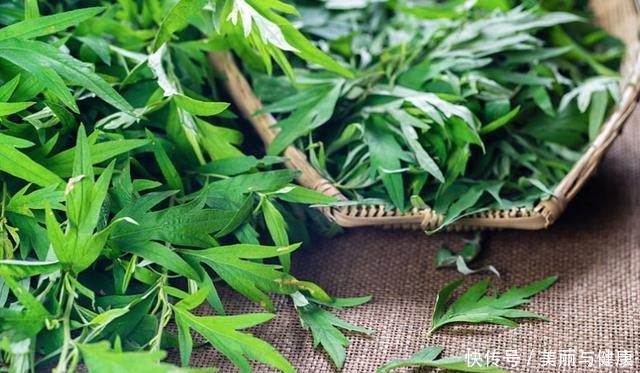 这3种植物能杀菌,家里种上几盆,细菌去无踪!