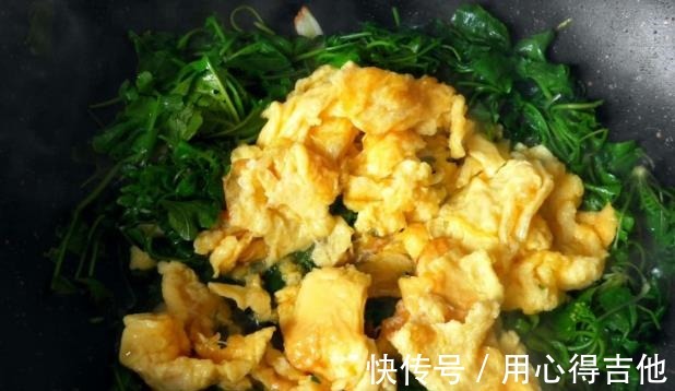 维c|冬季的“野菜之王”,遇到多买一些吃,富含11种氨基酸,利肝明目