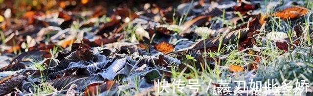 感情|思念不减，旧爱相逢，主动挽回，破冰和好