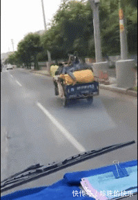 |搞笑GIF趣图:兄弟,你这属于自己对自己犯规吧