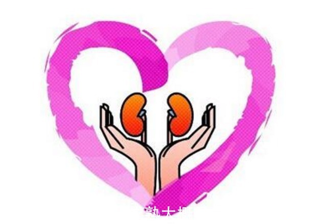 肾脏|男性若常吃六味地黄丸，身体会怎样答案或许和你想的有点不一样