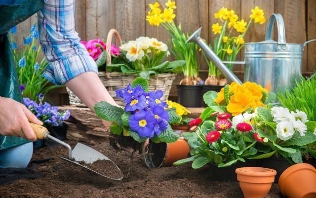 老人常说:男人养花不是“娘”就是懒,你认同这句话吗?