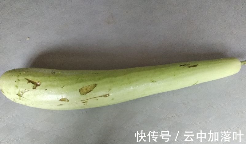 韭菜|入秋后包饺子,韭菜和芹菜靠边站,有种瓜鲜香有营养,要吃得抓紧!