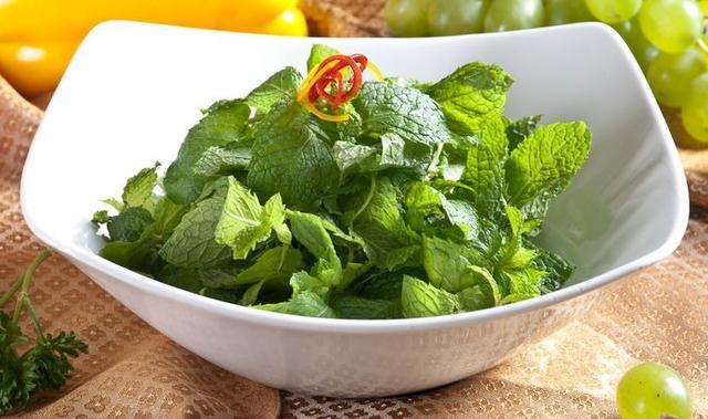  观赏|客厅养盆“薄荷草”，观赏食用两不误，能驱虫能净化空气！