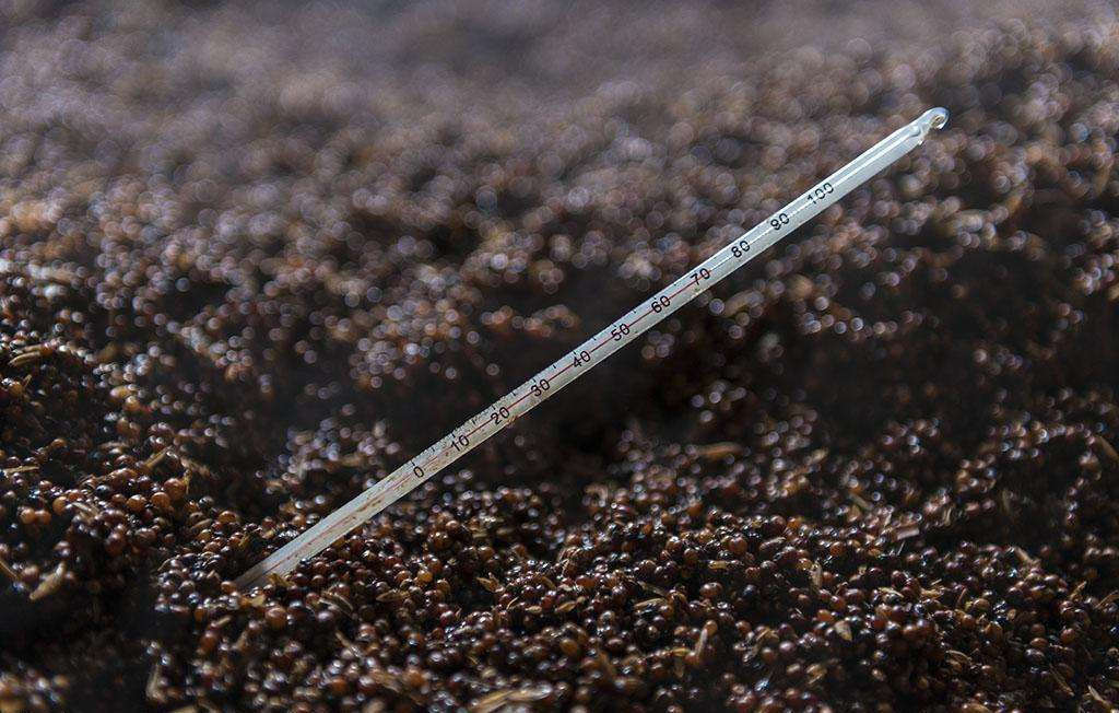 熟料|生料酿酒和熟料酿酒有什么区别?