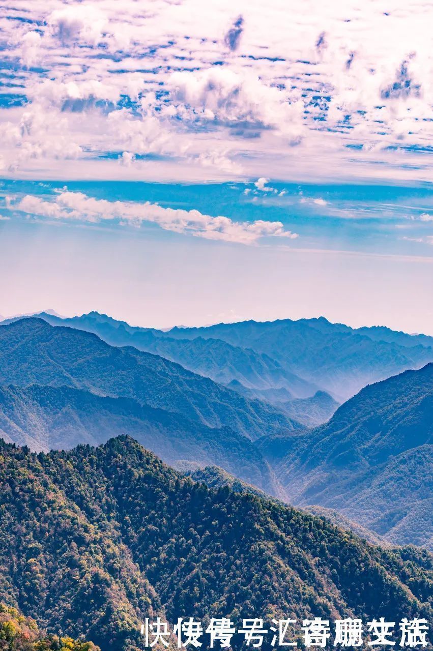 满山|秦岭深处满山红遍，绚丽多彩，惊艳着整个秋天