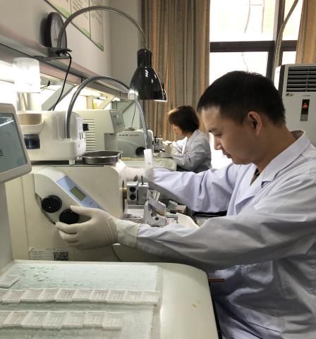 固定|病理报告为什么总要等那么久？
