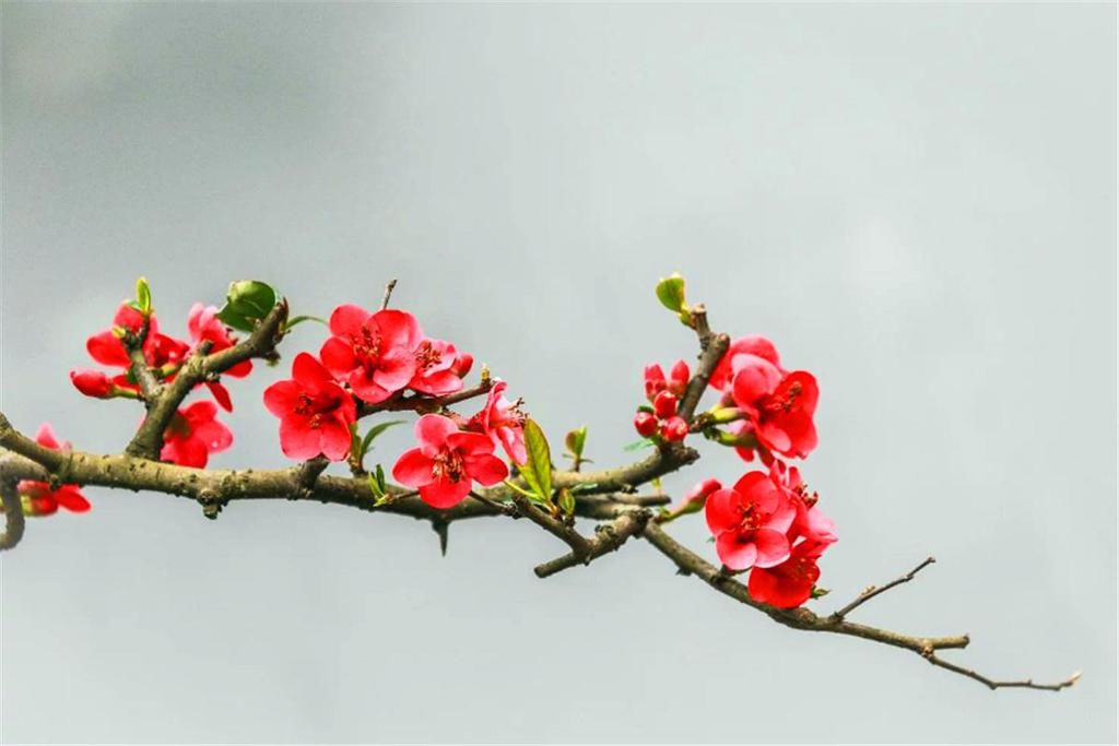  落雨|“冬至落雨星不明，大雪纷纷步难行”，冬至来临，今冬天气冷吗？