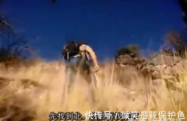 跳伞|跳伞进入洛基山脉腹地,第一顿晚餐竟然是响尾蛇,还吃得津津有味