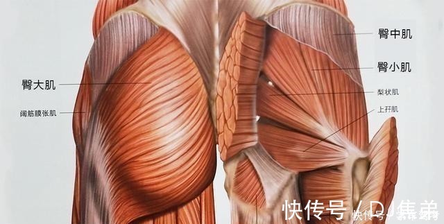 臀桥|当你锻炼臀部肌肉时,别再做这些浪费时间的动作,告诉你如何改变