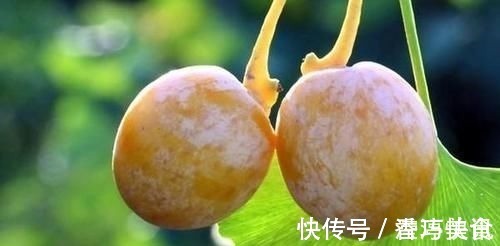 桂皮醛|提醒:吃中药时要注意,这“4类”食物尽量不要吃,别不放在心上