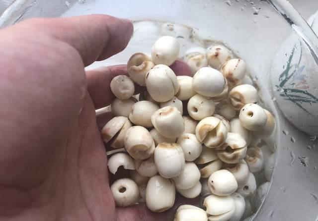 莲子芯|大夏天,遇到这种“高钾食物”别手软,当零食吃,身体健康过夏天