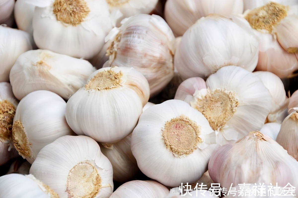 玉米|6类食物是高血脂的“天敌”,玉米上榜,排第一的四季都能买到