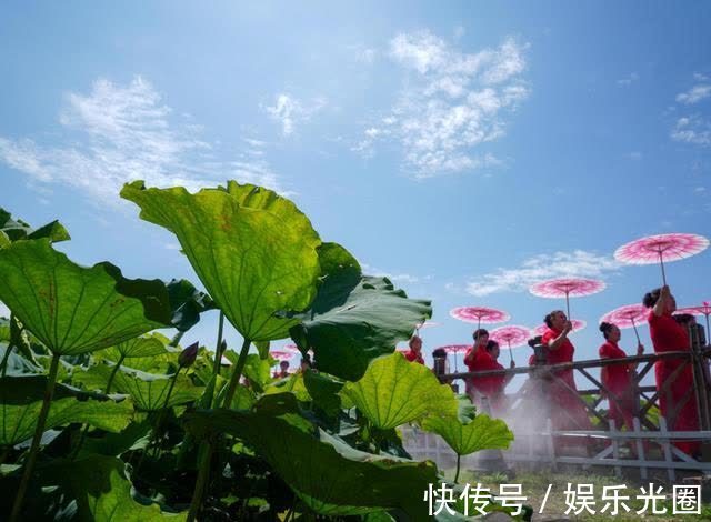 白云湖街道|济南白云湖生态优先绘美景