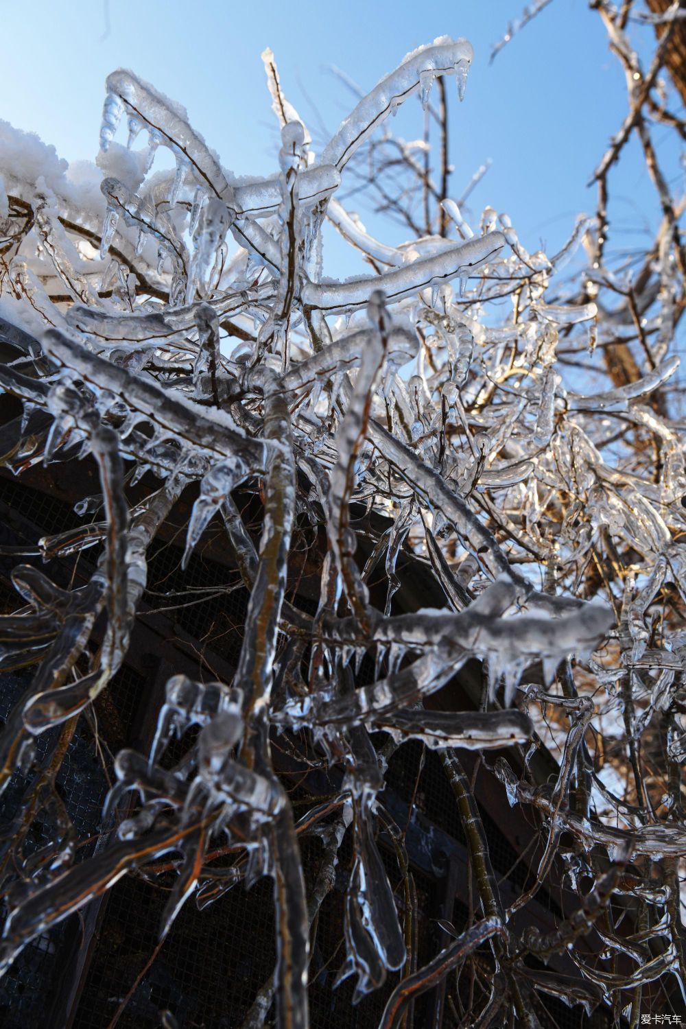 美丽的北国风光，千里冰封，万里雪飘