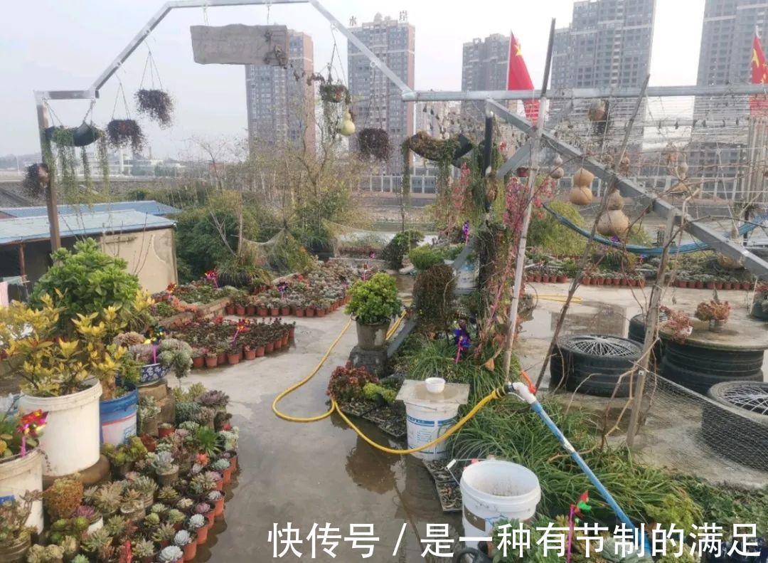 四川大哥养多肉,创意无极限,生活巴适得很!