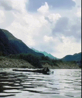 |搞笑GIF:这只猴子是进化了一半吧?另一半卡住了?