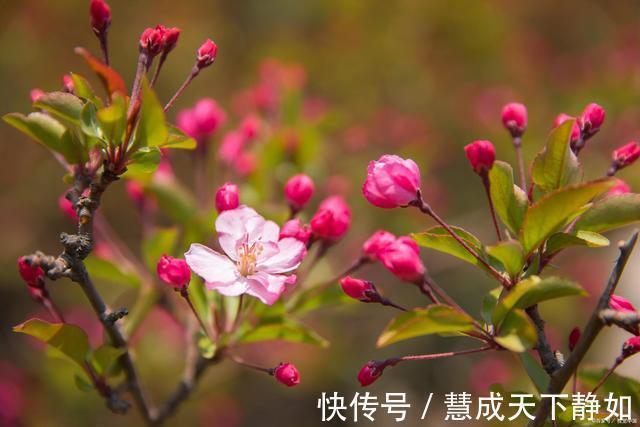 汉秦@古诗七律荡漾涟漪精气神，澄莹明澈醉诗琴