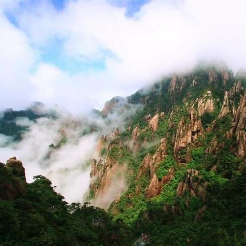 一场春雨过后，三清山开始绿了！