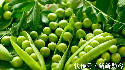 绿豆泥|“夏吃豆”,5种豆类要常吃,2种“毒豆”不能吃,应季而食更受益