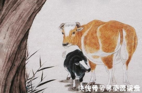 家庭|家中有这四大生肖,福禄双全,最容易成大富翁!