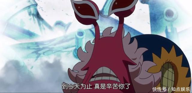 海贼王中4位忠心但下场很惨的部下，其中3位都是追随了明哥少主！