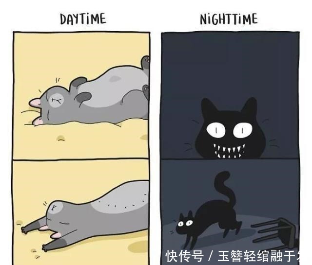 养猫|养猫很有趣吗艺术家用插画描绘出那些,搞笑又暖心的时刻